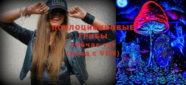 PSILOCYBIN Михайловка