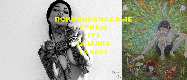 PSILOCYBIN Михайловка