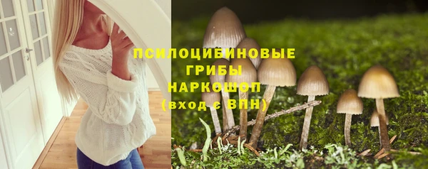 PSILOCYBIN Михайловка