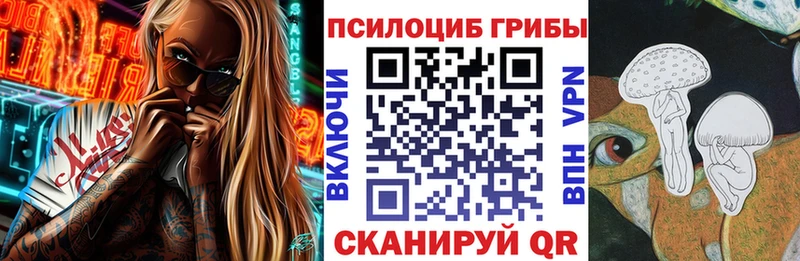 Псилоцибиновые грибы Cubensis  Купить где  Рошаль 