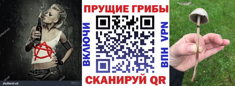 Галлюциногенные грибы Psilocybine cubensis Рошаль